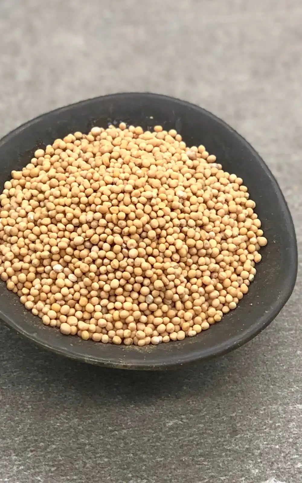 Mustard Seeds - Yellow 80g